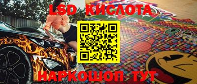 крисы Дмитров