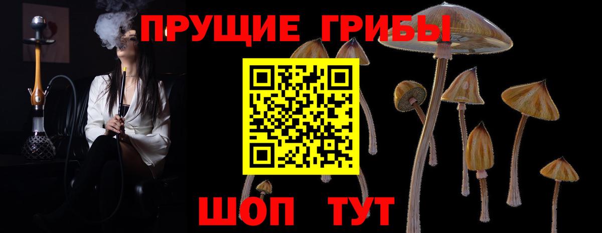 Дедовск  Галлюциногенные грибы MAGIC MUSHROOMS  Вход с VPN  Галлюциногенные грибы GOLDEN TEACHER 